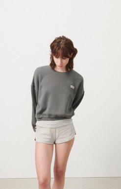 Online American Vintage Sweat Femme Doven Metal Surteint