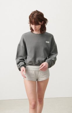 Online American Vintage Sweat Femme Doven Metal Surteint